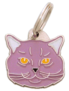 Gato de pelo curto inglês lilás <br> (placa de identificação para gatos, Gravado incluído)